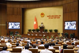At the meeting (Photo: VNA)
