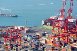 At a port in Busan city of the RoK (Photo: AFP)