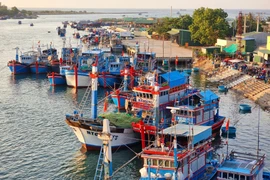 All of the fishing boats in Ninh Thuan province have sufficient documents proving their seaworthiness. (Photo: VNA)