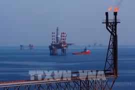 On Bach Ho oil field (Photo: VNA)