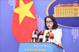 Spokeswoman of the Vietnamese Ministry of Foreign Affairs Pham Thu Hang. (Photo: VNA)