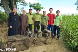 9 wild animals are released into the wild (Photo: VNA)