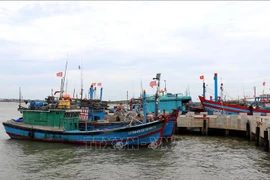 Fishing vessels in Quang Tri province (Photo: VNA)