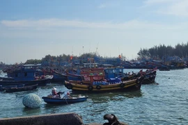 Ba Ria – Vung Tau tightens management over unregistered fishing vessels. (Photo: VNA)