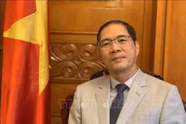 Vietnamese Ambassador to North Macedonia Do Hoang Long (Photo: VNA)