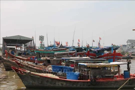 At An Dinh fishing port in Tra Vinh province (Photo: VNA)