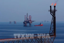 On Bach Ho oil field (Photo: VNA)