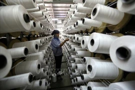 Fiber production line of the RoK-funded KSA Polymer JSC Hanoi at Thuy Van industrial park in Phu Tho province. (Photo: VNA)