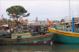 Fishing boats in Tieng Giang province. (Photo: VNA)