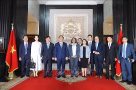The Vietnamese delegation and Vice Speaker of the House of Representatives Nadia Touhami. (Photo: VNA)