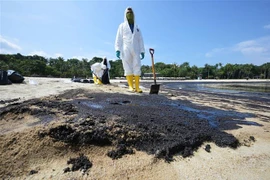Workers clean up oil spills on Tanjong beach on Sentosa Island, Singapore, on June 16, 2024. (Photo: Xinhua/VNA)
