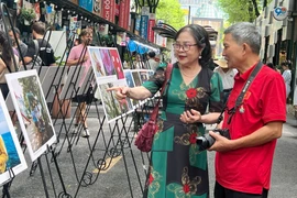 Visitors to the Truong Sa-themed photo exhibition on the Nguyen Van Binh book street in HCM City. (Photo: VNA)