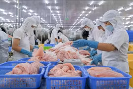 Tra fish processing (Photo: VNA)
