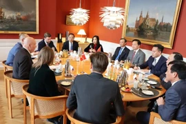 At the meeting between Deputy Prime Minister Tran Hong Ha and Speaker of the Danish Parliament Soren Gade (Photo: VNA)