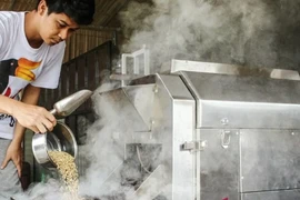 A small business owner processes coffee beans in Palangka Raya, Central Kalimantan, on November 6, President Prabowo Subianto's government has made MSMEs one of the pillars in the economic sector. (Photo: Antara)