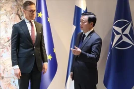 Deputy Prime Minister Tran Hong Ha (R) meets with Finnish President Alexander Stubb in Helsinki on November 28 (Photo: VNA)