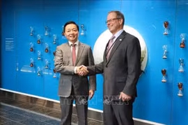  Anders Lindberg, Senior Vice President of Wärtsilä Corporation, and Deputy Prime Minister Tran Hong Ha (L) (Photo: VNA)