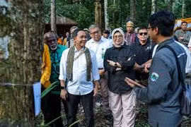 Indonesia strengthens wildlife protection efforts