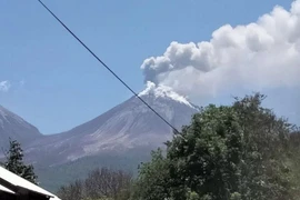 Flights to Indonesia's Bali resume following volcanic eruption