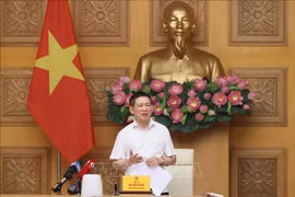 Deputy PM Ho Duc Phoc speaks at the event (Photo: VNA)