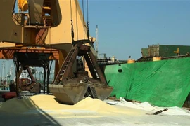 Loading fertiliser onto a ship at the Dinh Vu Port in Hai Phong city. (Photo: VNA)