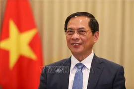 Deputy Prime Minister and Foreign Minister Bui Thanh Son (Photo: VNA)