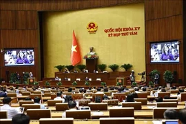 At a discussion of the National Assembly's eighth session (Photo: VNA)