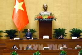 NA Vice Chairman Tran Quang Phuong speaks at the session. (Photo: VNA)