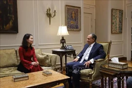 Deputy Minister of Foreign Affairs Nguyen Minh Hang (left) and Egyptian Minister of Foreign Affairs and Immigration Badr Abdelatty (Photo: VNA)