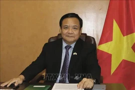 Vietnamese Ambassador to Peru Bui Van Nghi (Photo: VNA)