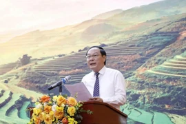 Deputy Minister of Natural Resources and Environment Le Cong Thanh (Photo: VNA)