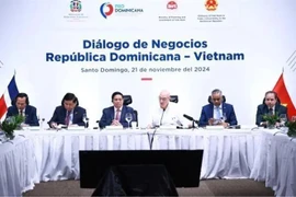 Prime Minister Pham Minh Chinh (third from left) attends the Dominican Republic-Vietnam Business Dialogue (Photo: VNA)