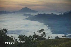 Situated over 1,000 metres above sea level, Hang Kia and Pa Co enjoy a cool, refreshing climate akin to that of Moc Chau in Son La (Photo: VNA)