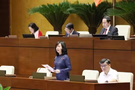 Minister of Health Dao Hong Lan clears up questions on issues related to the health sector (Photo: VNA)