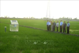 The World Bank delegation makes a fact-finding tour of and learned about a circular production model at the New Green Farm Cooperative in Can Tho city. (Photo: VNA)