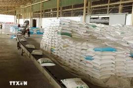 Rice packaging for export (Photo: VNA)