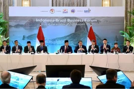 Participants at the Indonesia-Brazil Business Forum in Brazil on November 17. (Photo: VNA)