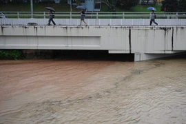 In Singapore (Photo: StraitsTimes)