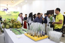 Delegates visit a tissue coconut culture model at the forum. (Photo: VNA)