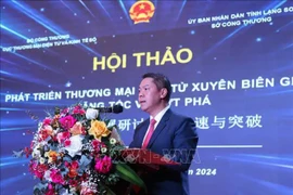 Vice Chairman of the provincial People’s Committee Doan Thanh Son speaks at seminar on developing cross-border e-commerce (Photo: VNA)