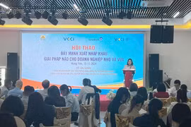 Participants at a workshop which aimed to help small and medium-sized enterprises (SMEs) strengthen their import-export activities (Photo: VietnamPlus)