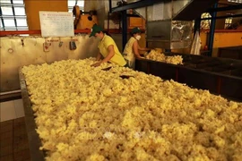 Rubber processing at a factory of Phu Rieng company. (Photo: VNA)