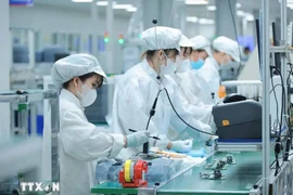 Workers at RoK-invested Bumjim Electronics Vina Limited Liability Company (Photo: VNA)