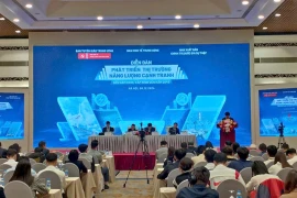 At the conference (Photo: VNA)