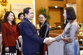 NA Chairman Tran Thanh Man meets with new ambassadors and heads of representative agencies abroad on December 18. (Photo: VNA)