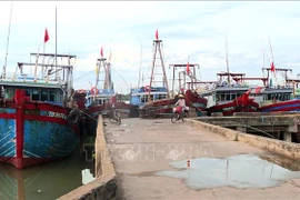 Fishing boats at Lach Hoi fishing port, Quang Tien ward, Sam Son city, Thanh Hoa province. (Photo: VNA)