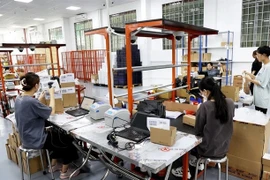 Workers from a cosmetics store based in Thu Duc city pack products for online shoppers. (Photo: VNA)