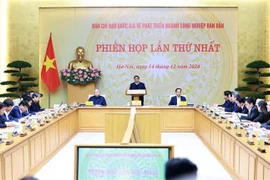 Prime Minister Pham Minh Chinh speaks at the first meeting of the National Steering Committee for Semiconductor Industry Development on December 14, 2024. (Photo: VNA)