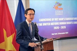 Deputy Minister of Foreign Affairs Do Hung Viet addresses the ceremony (Photo: VNA)