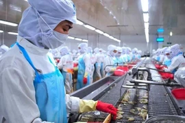 Seafood export value had reached 8.33 billion USD of October 2024, a 12% increase year-on-year. (Photo: laodong.vn)